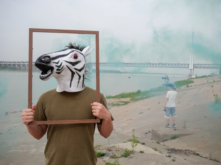 这里的斑马不停转