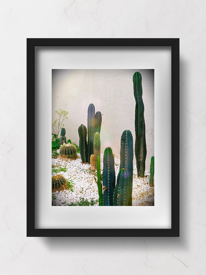 *仙人掌*🌵