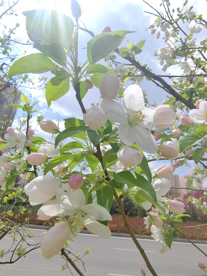 花花世界