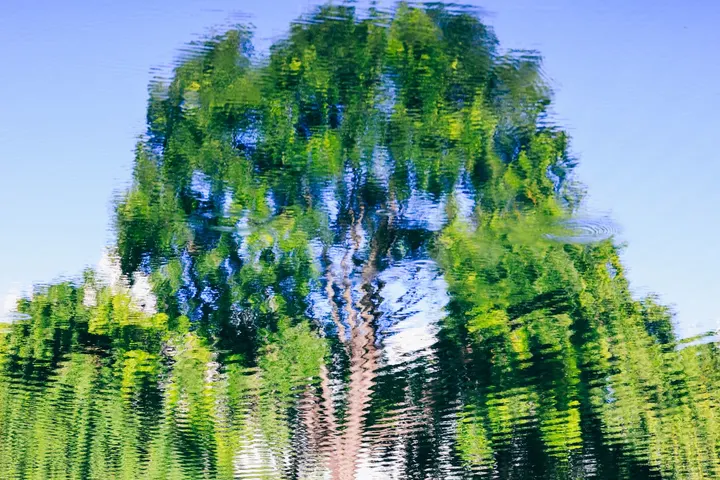 雨后
