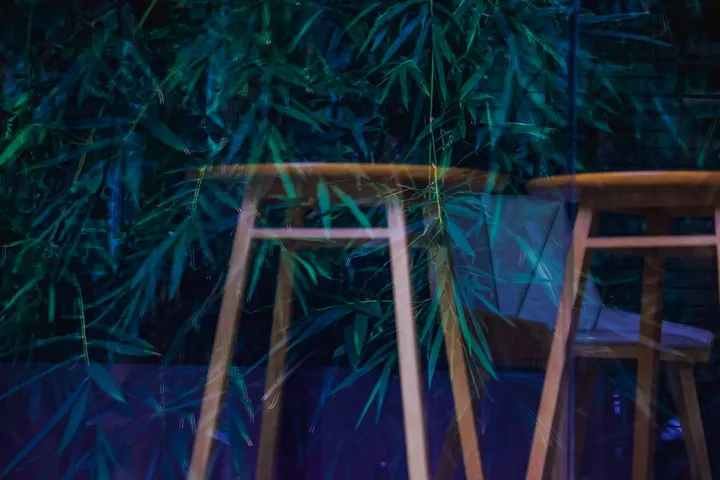 侨城东物与人