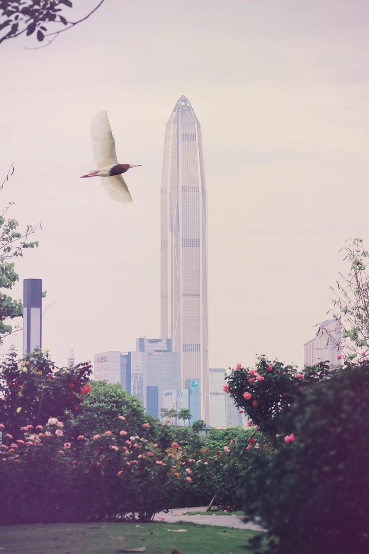 城市与自然