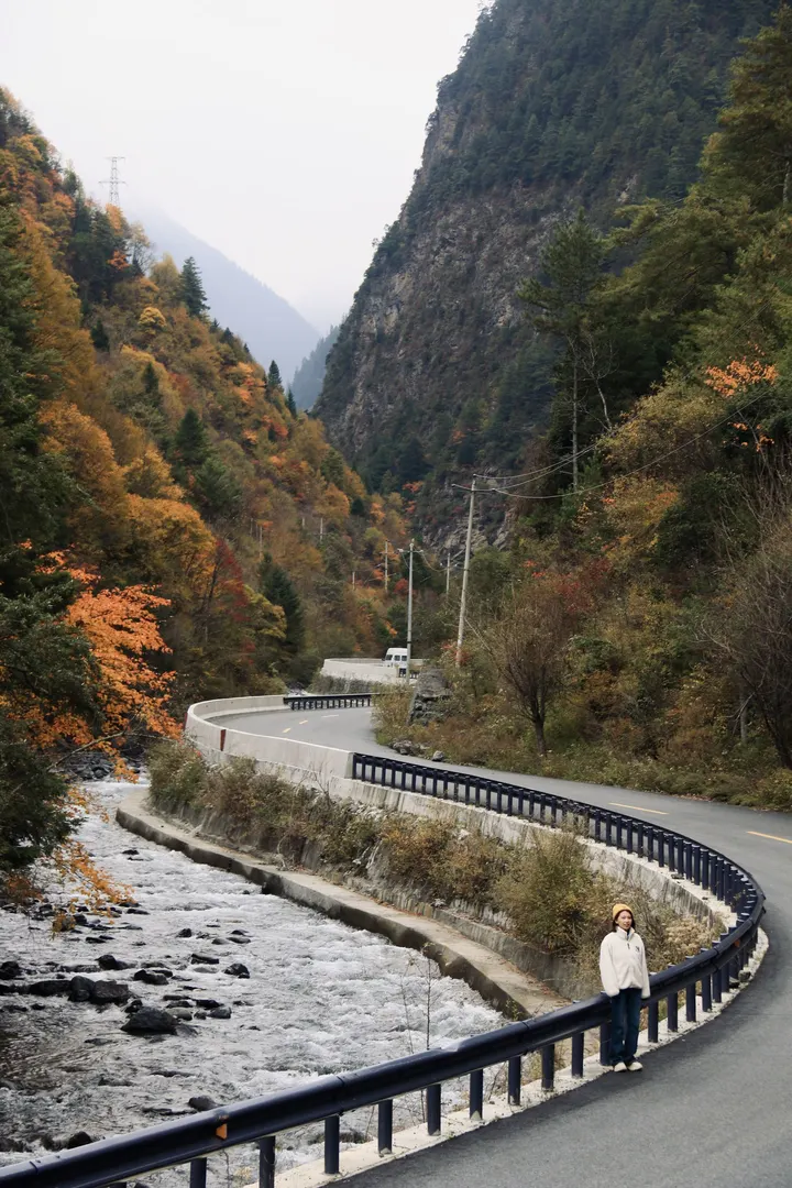 无名S湾公路