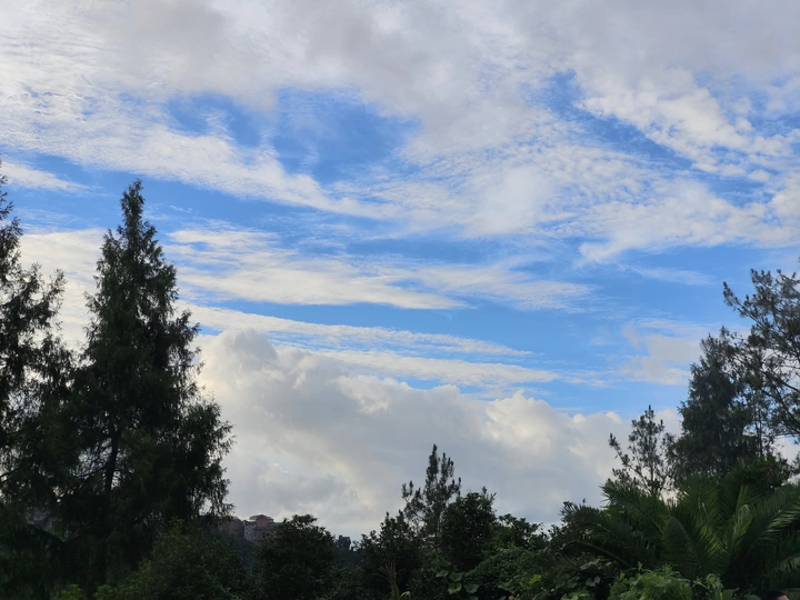 天空无一物亦可容万物