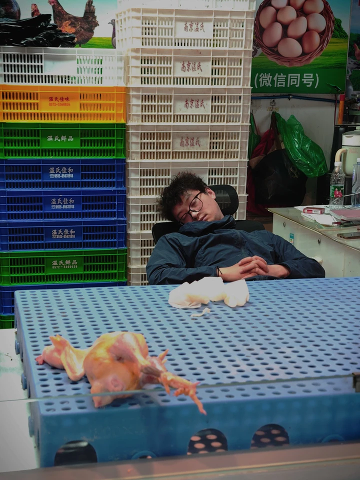 梦入神鸡