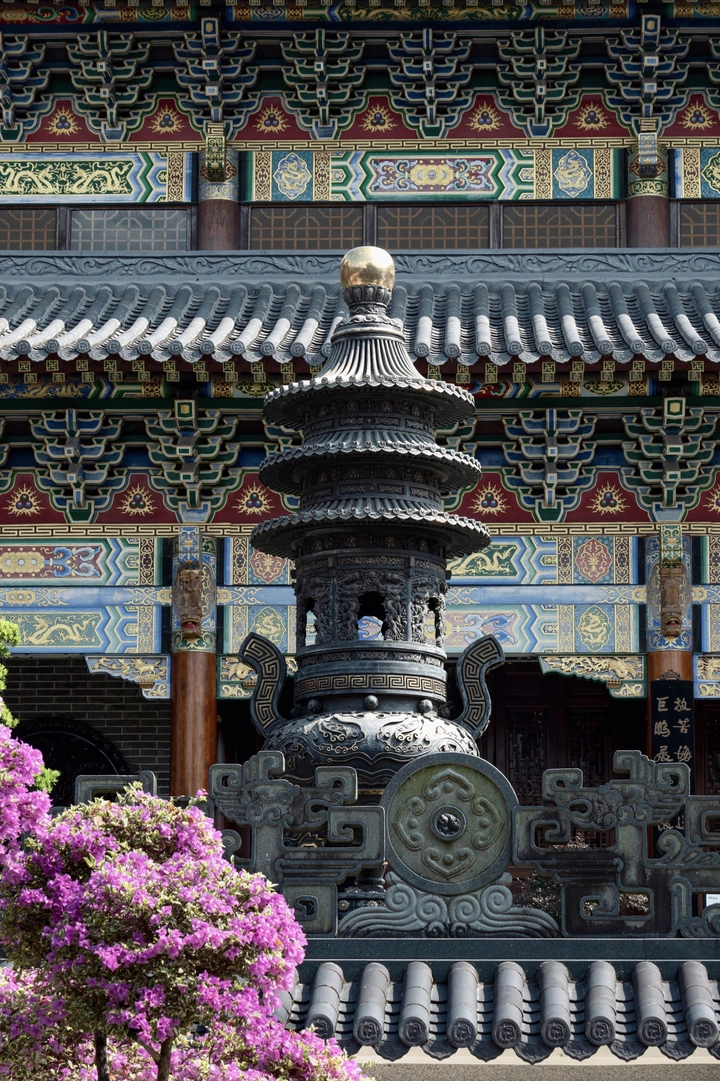 山林茶海觅神隐