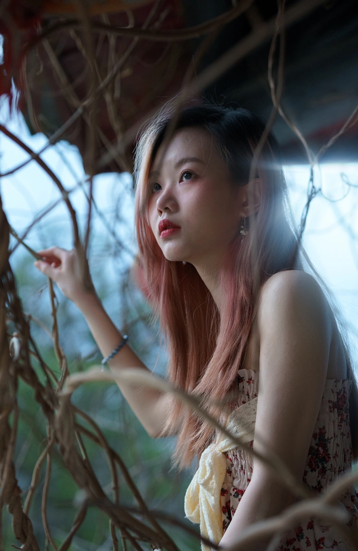 三生三世，十里樱花