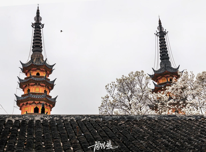 双塔玉