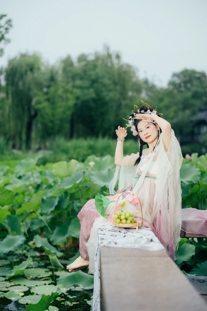 金陵雨荷记