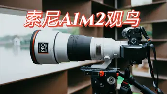 新手入门观鸟 | 索尼 a1II +sony 300GM+2X 增距镜, 对焦测试