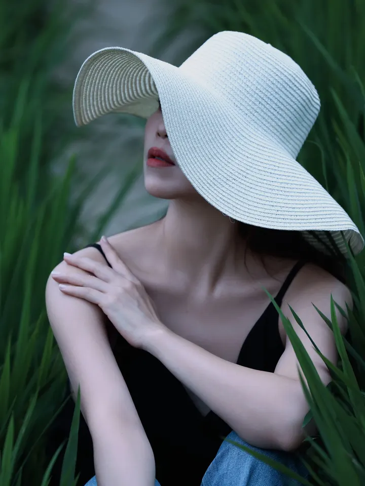 暗调稻田写真