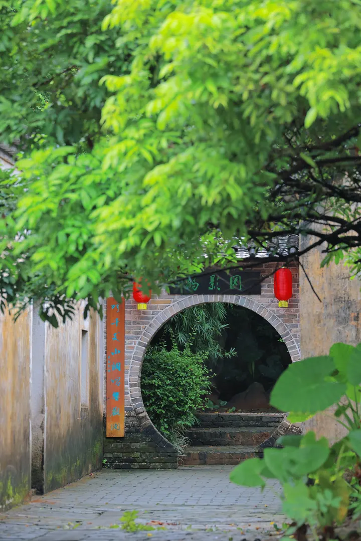 雨停了，去观澜古村扫个街吧