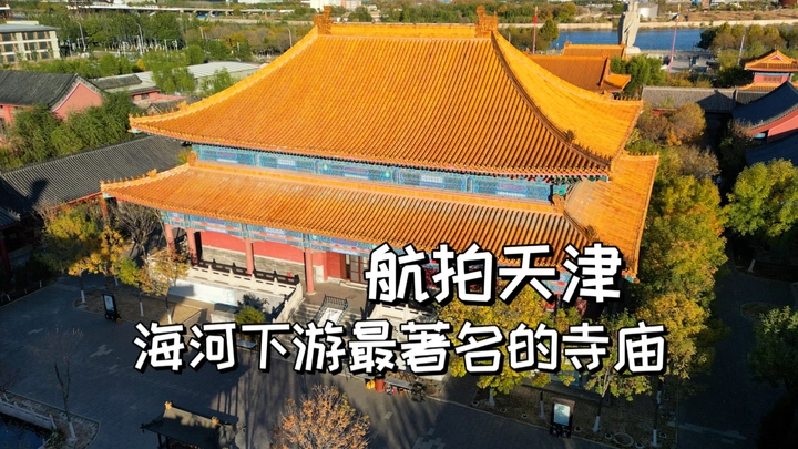 天津海河下游最著名的寺庙——潮音寺【站墙角的豚鼠】