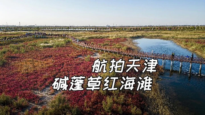 天津大港油田的红海滩【站墙角的豚鼠】