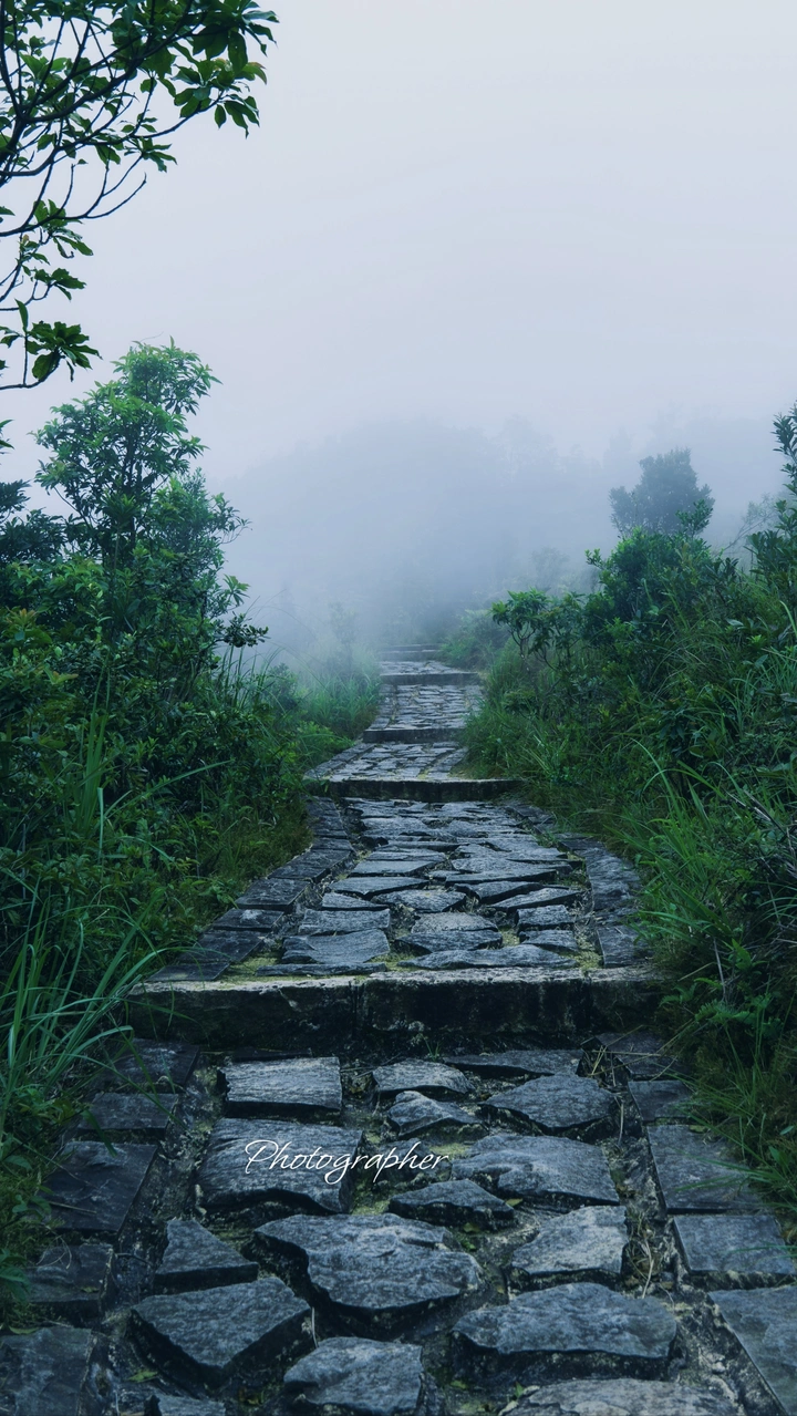 一路寻找