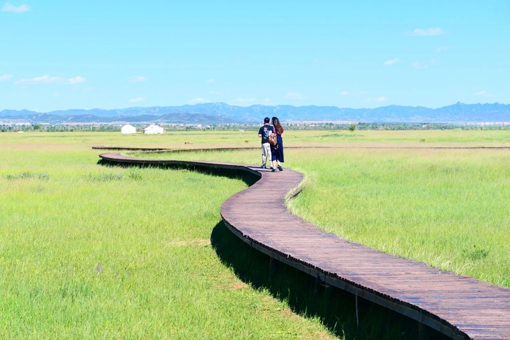 爱在敕勒川草原