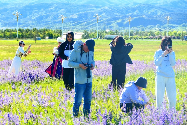 诗话草原 敕勒川