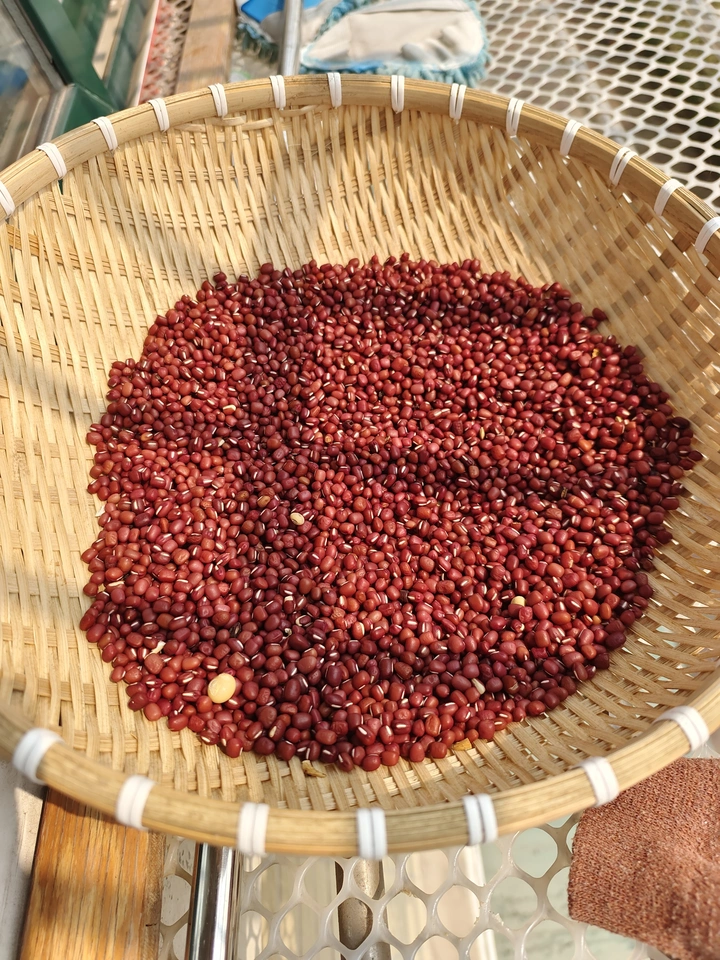 红豆