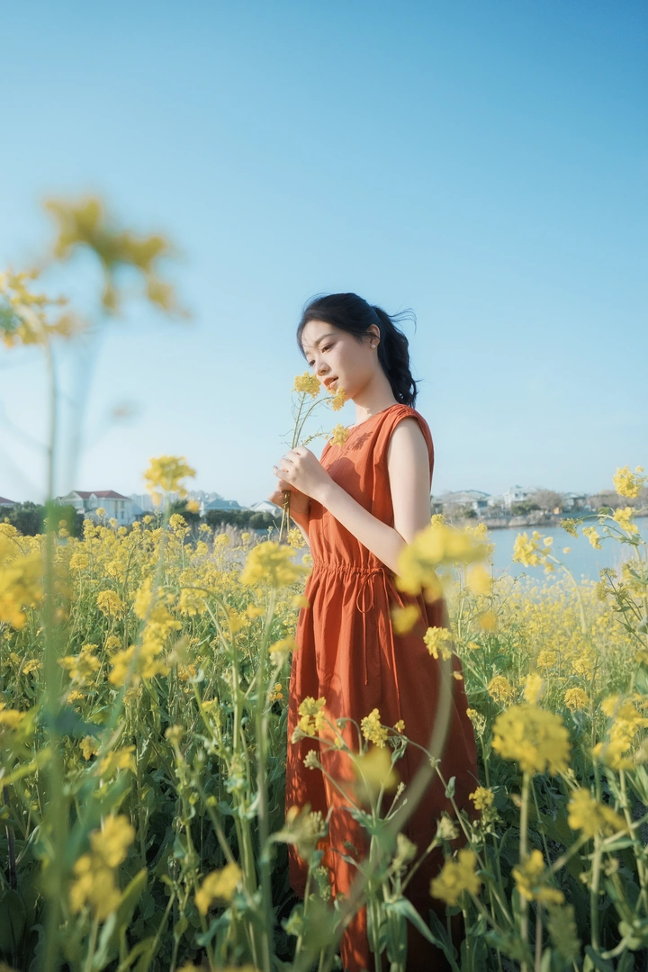 故事的小黄花