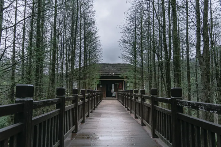 阴雨天下的新会石涧公园