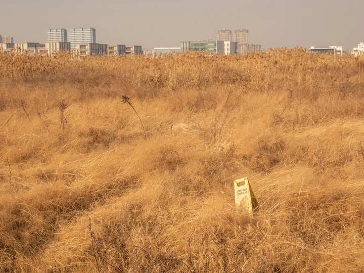 城市荒野
