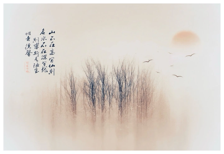 当摄影遇到国画