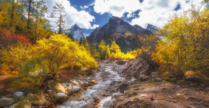 我与高山