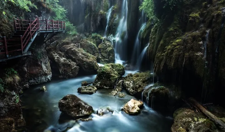 我心中的绿色