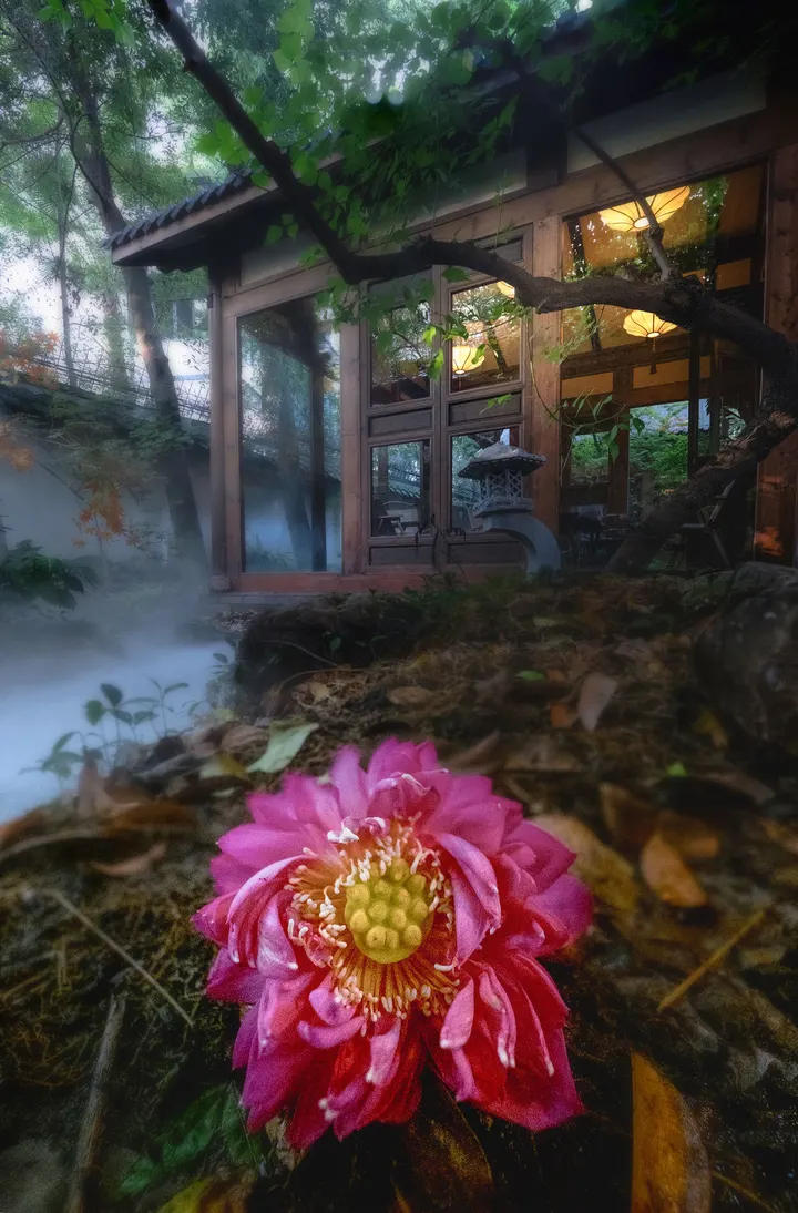 文人审美