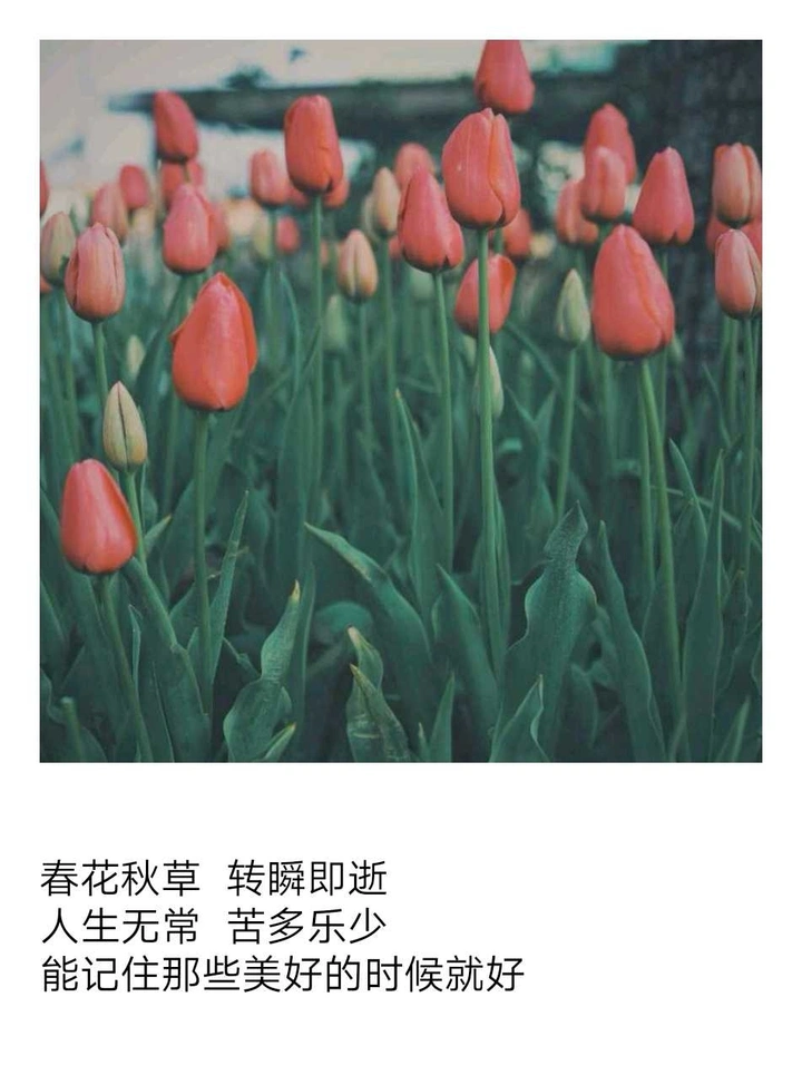 岁月