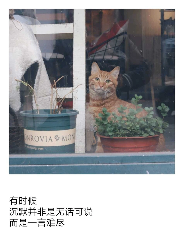 沉默