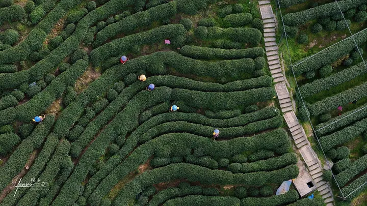 浙江.杭州