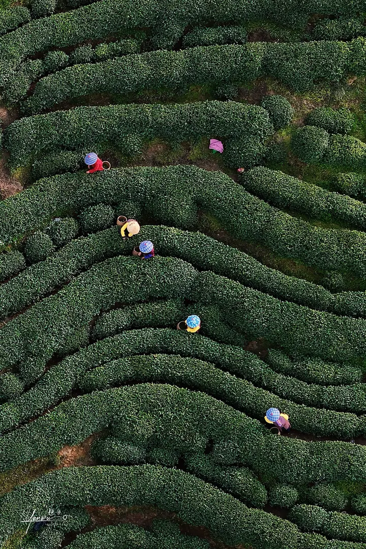 浙江.杭州