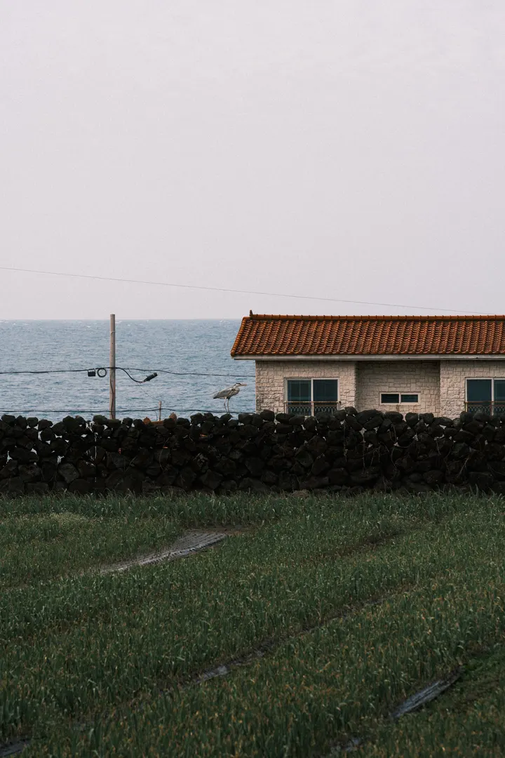 沉默沉没