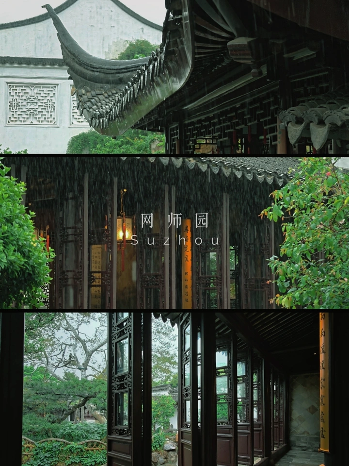 江南春雨|苏州网师园