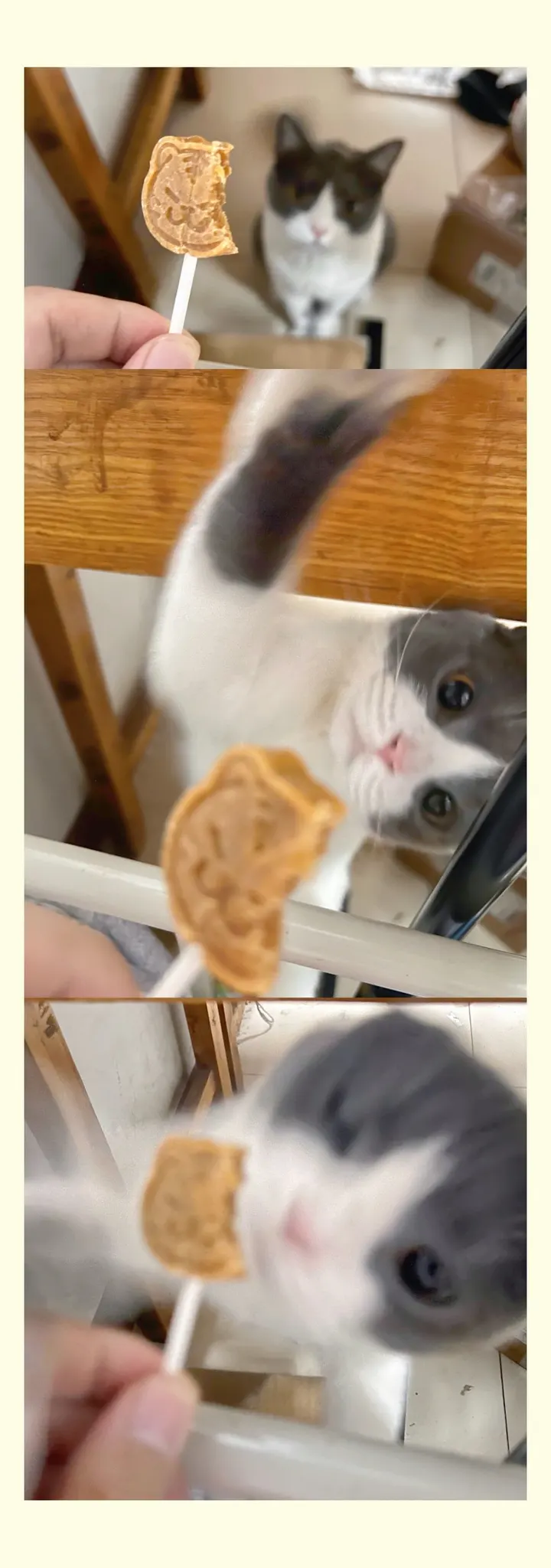 偷袭