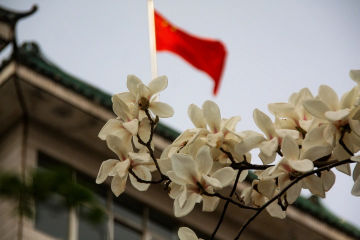 友谊长存