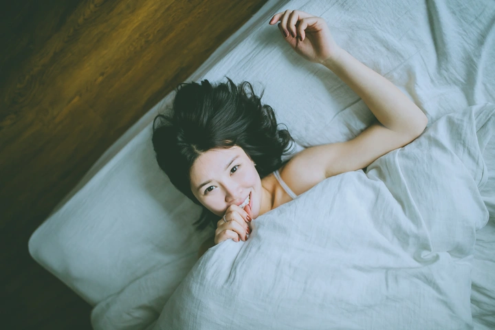lulu与猫