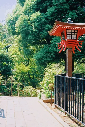 公园中有一个有树木和入口处挂着红灯笼的封闭通道。