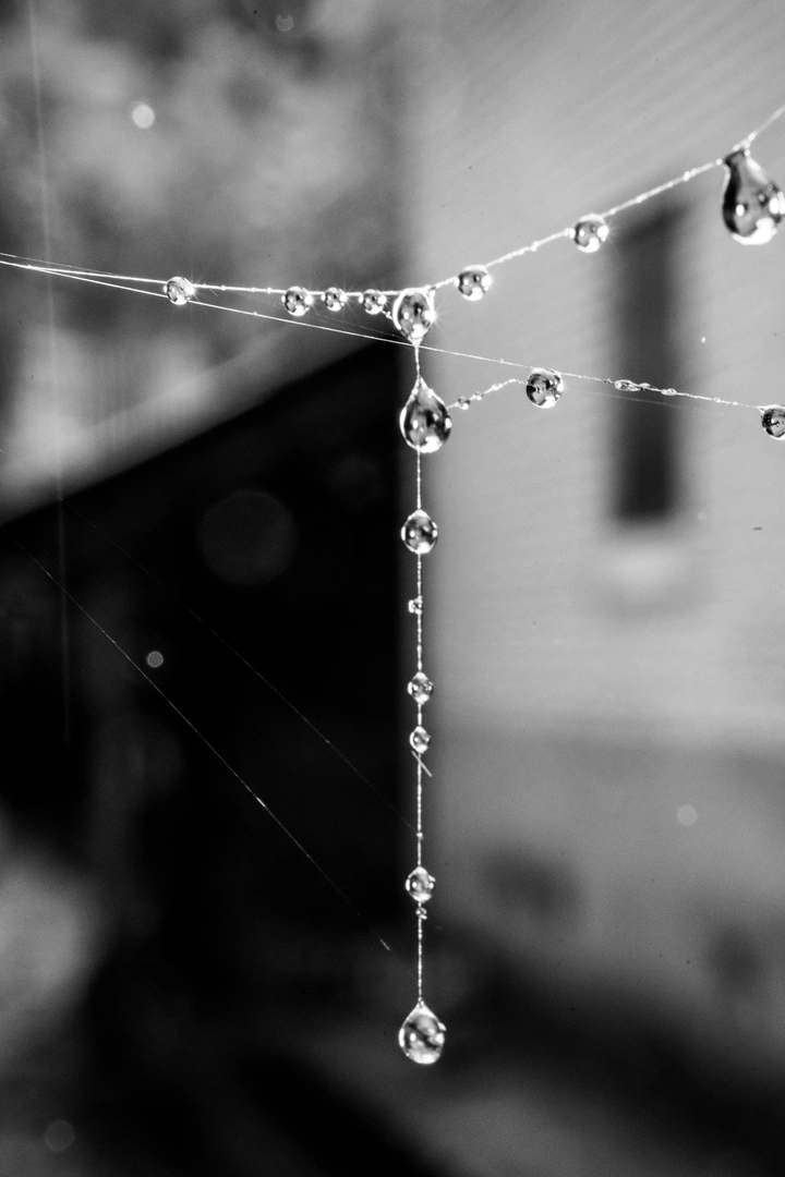 雨滴