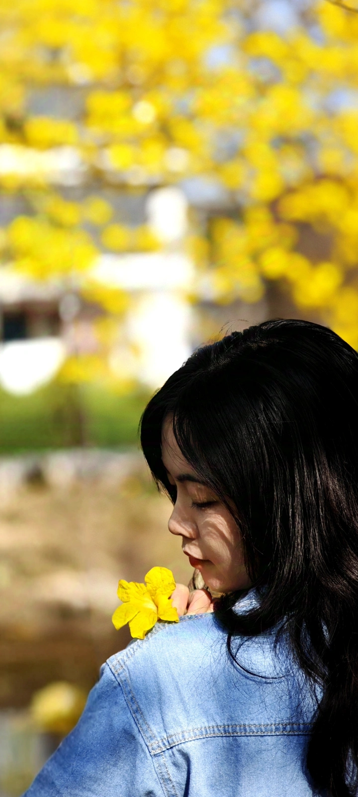 回眸