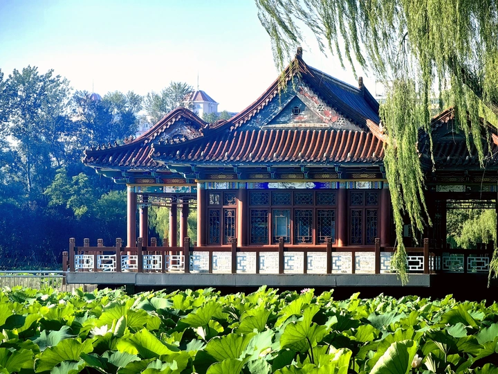 荷塘与古建