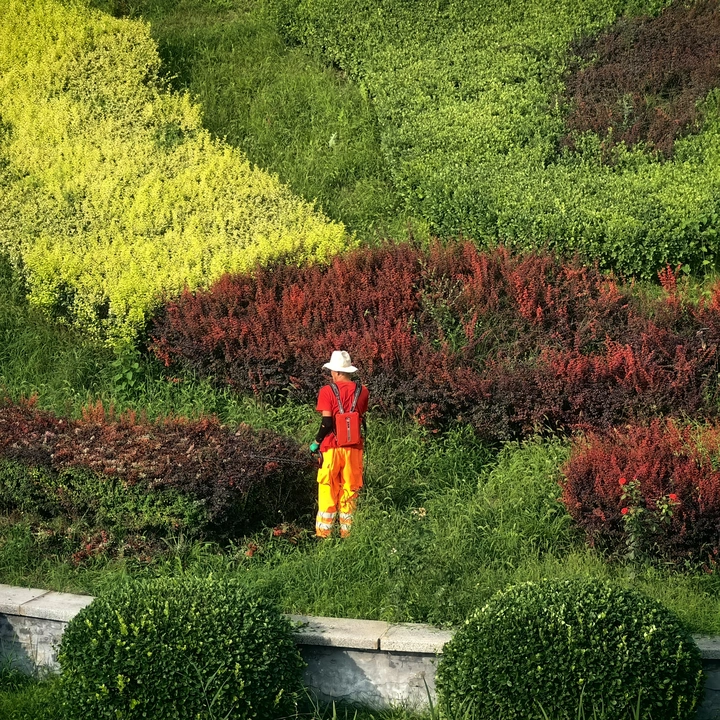 美容师