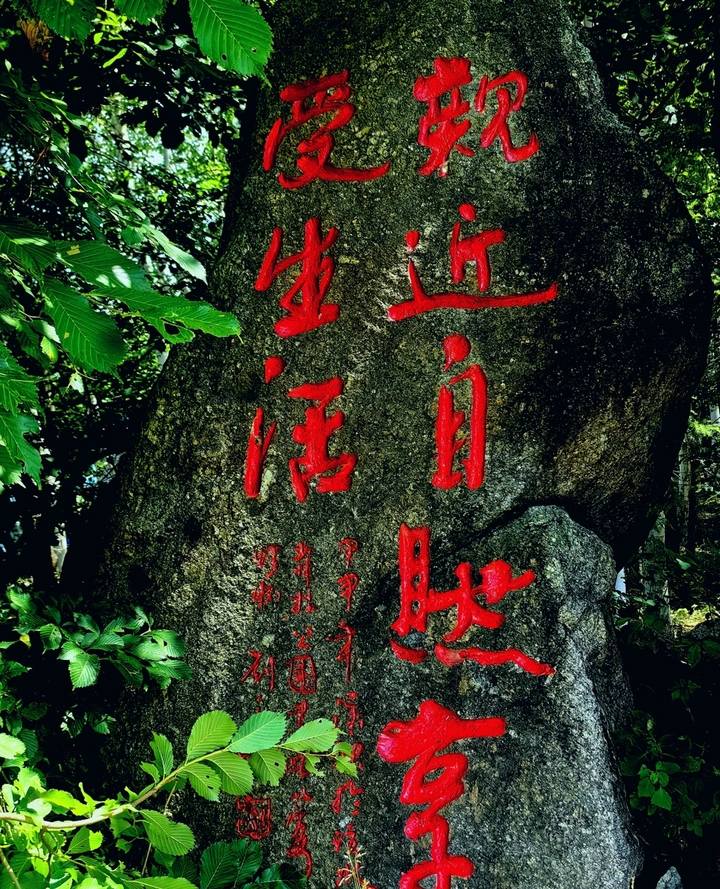 雕刻：亲近自然  享受生活