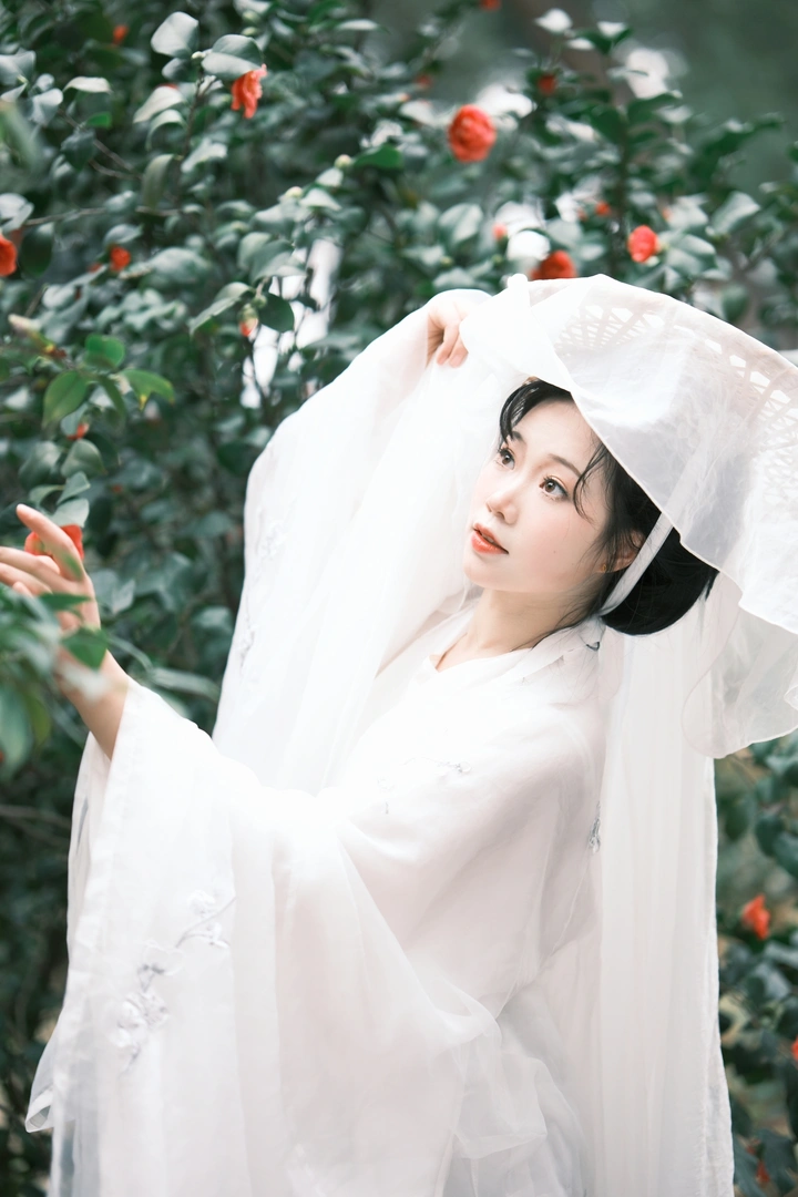 你喜欢nc还是cc