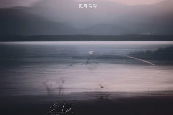 孤舟鸟影