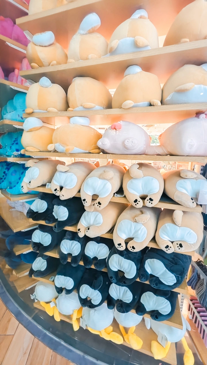 随拍逛街