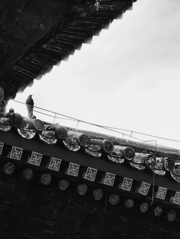鸦