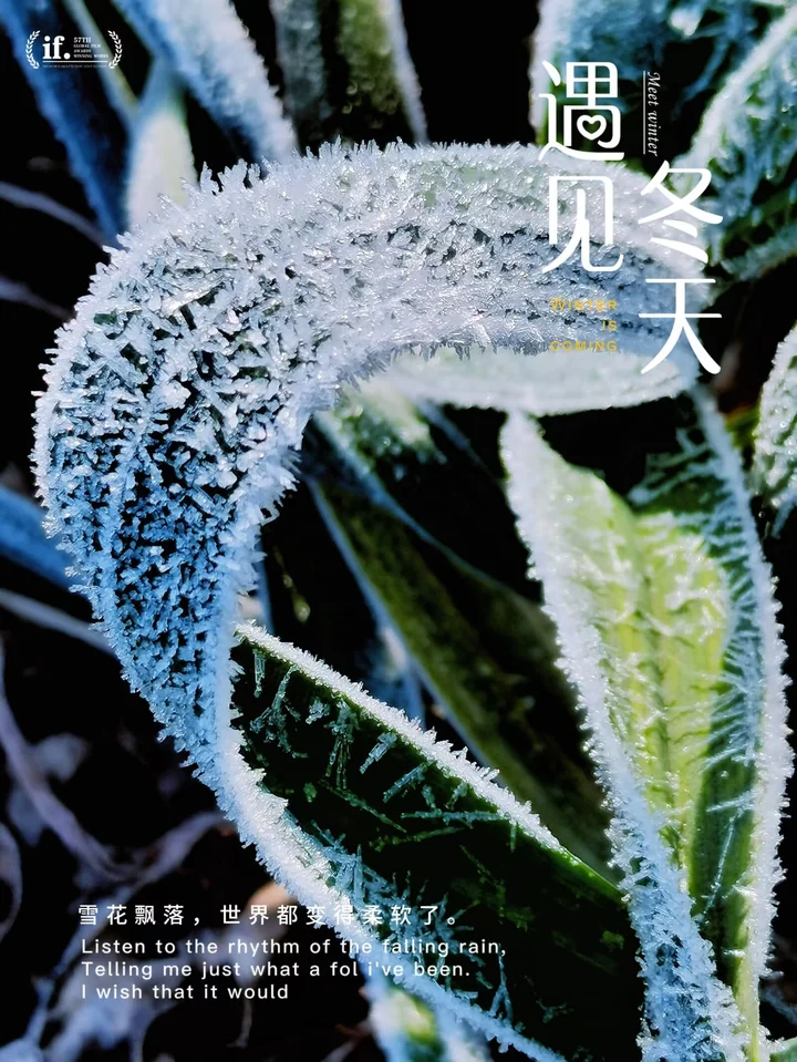霜