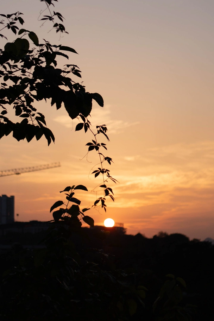夕阳已西下，爱我以中华
